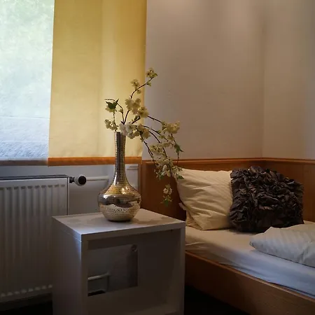 Hotel Berg 3*