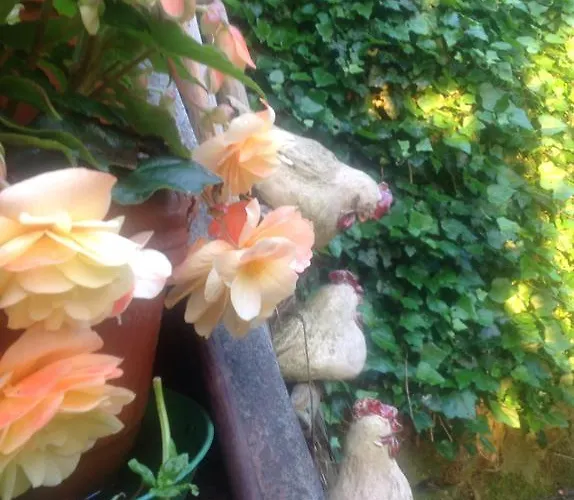 מלון Berg Dannenfels